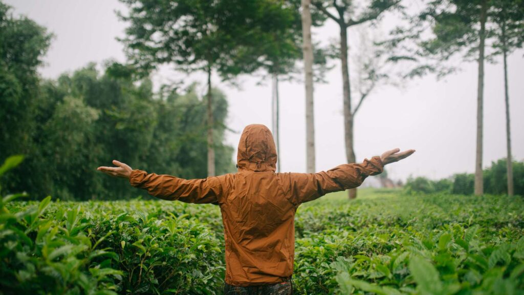 Interaction entre l'homme et la nature