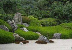 Un jardin zen