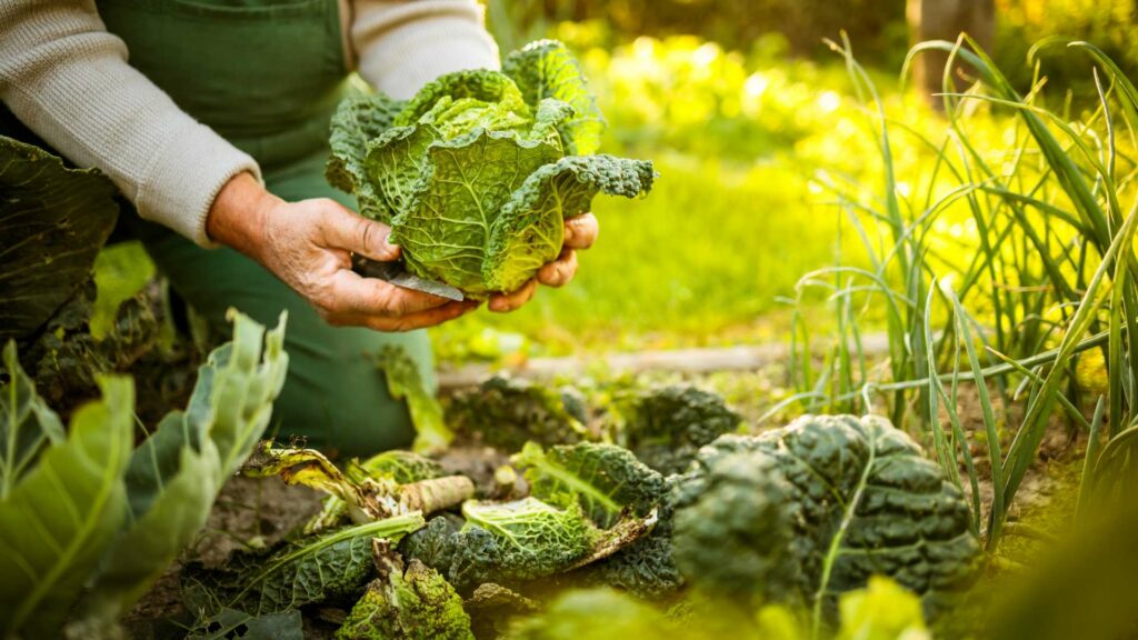 La permaculture