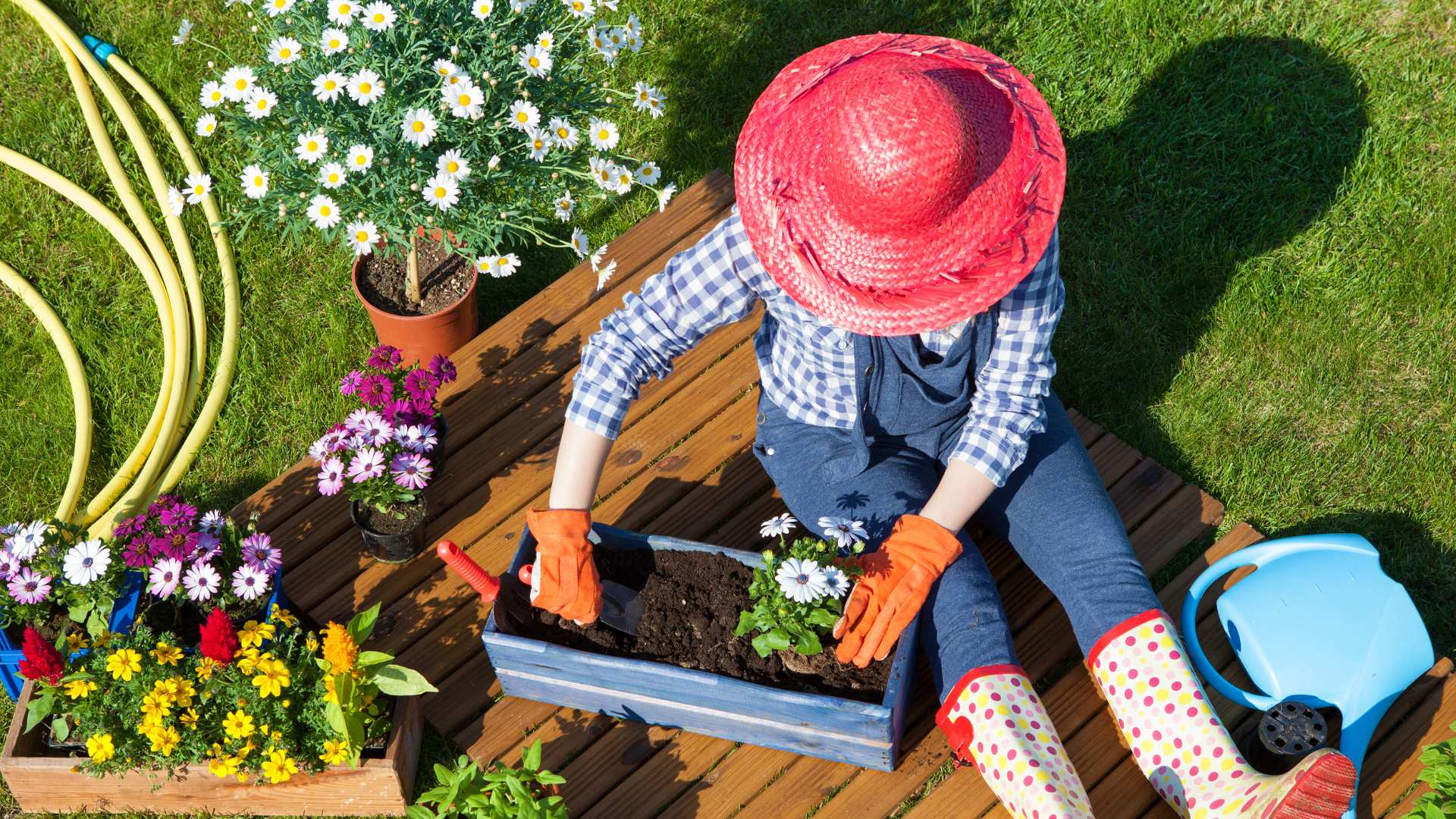 Les avantages d'un bassin d'agrément dans votre jardin