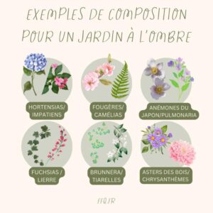 composition fleur jardin ombre