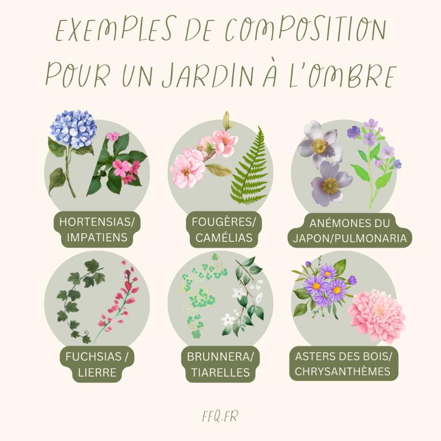 composition fleur jardin ombre